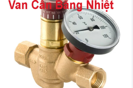 Van Cân Bằng Nhiệt Thermal Circulation Valves 5